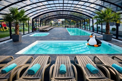 Day, Pool view, Swimming pool, sunbed