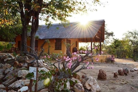Day, Garden