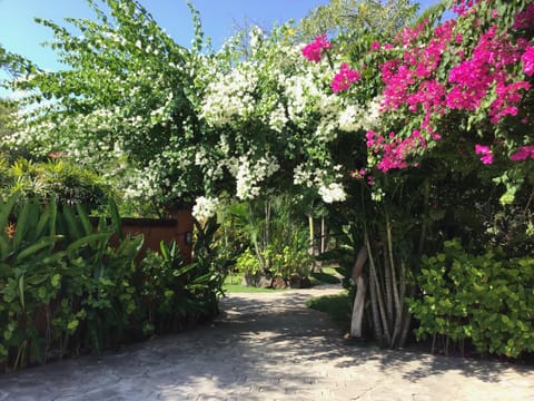 Taman Dewi Sri Villa et Bungalow Bed and Breakfast in Bali