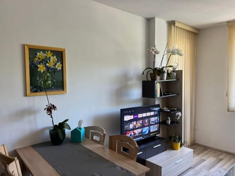 Communal lounge/ TV room, TV and multimedia, Kitchen or kitchenette