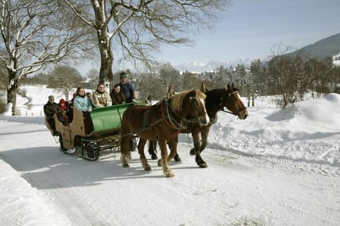 Urheim Rose Apartment in Tyrol