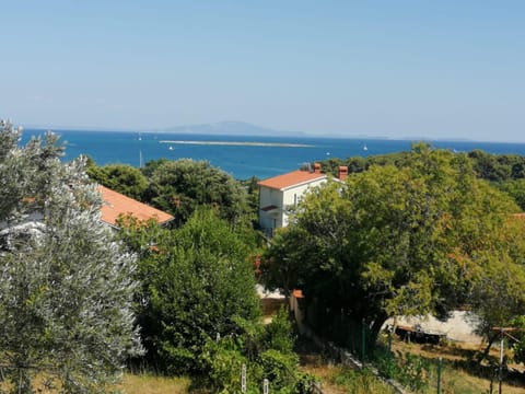 Natural landscape, Sea view