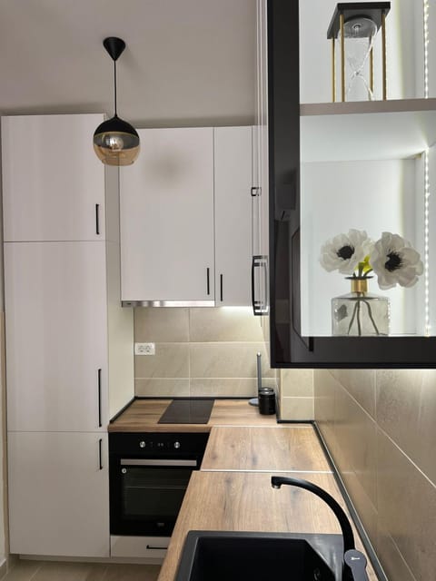 Center Lux Apartment 5 Apartment in Montenegro