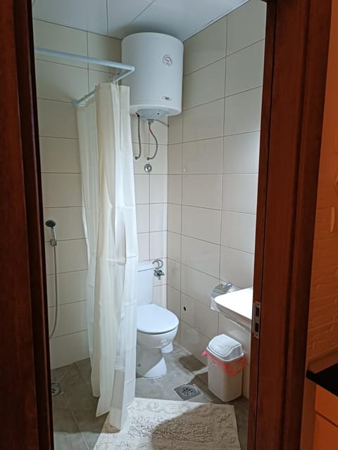 Adamovic Apartment in Serbia