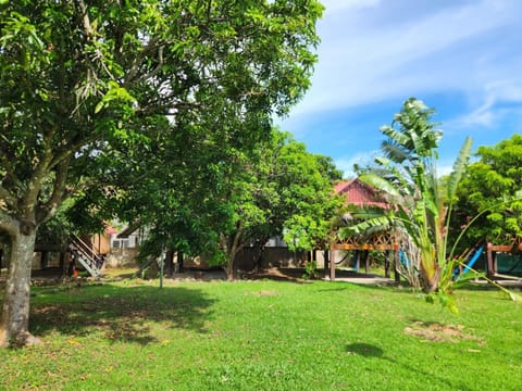 Day, Natural landscape, Garden, Garden view