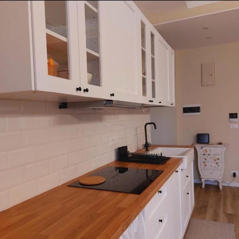 Kitchen or kitchenette, dishwasher, stove