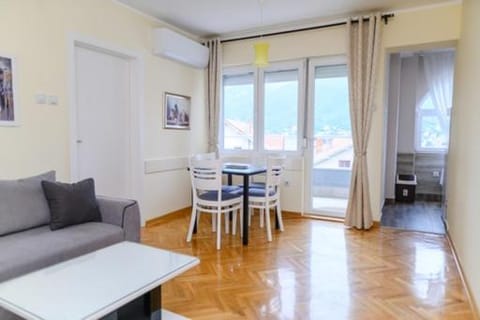 Apartman Ivanka Apartment in Serbia