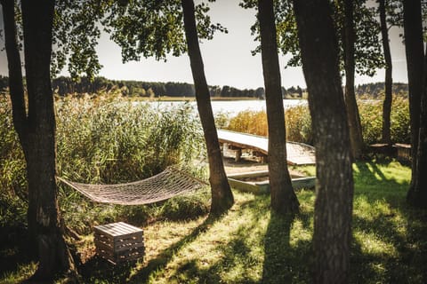 Lake view
