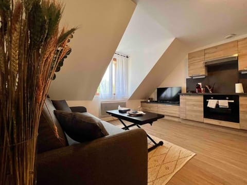 Appartement Centre-ville / 6 prsn / Bord du doubs / Au pied de la citadelle Apartment in Besançon