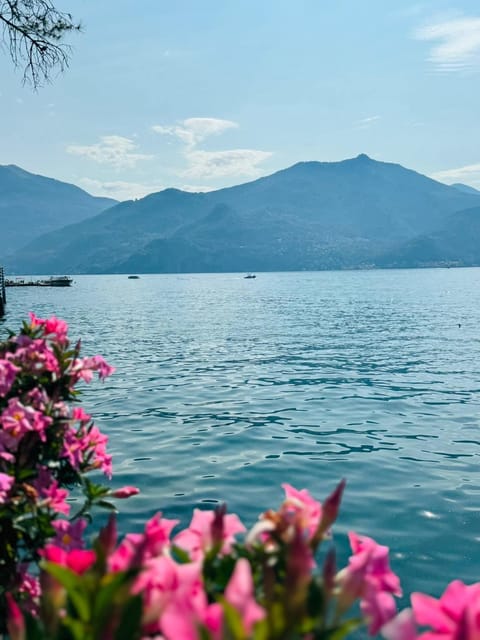 La Casetta di Laura intera casa indipendente a chi piace il silenzio vista lago 5 chilometri da Varenna House in Lierna