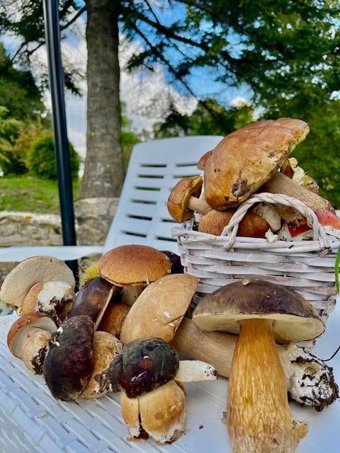 Natural landscape, Garden