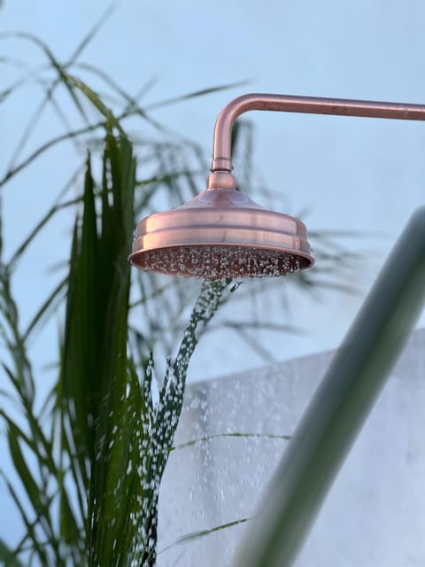 Shower, Balcony/Terrace