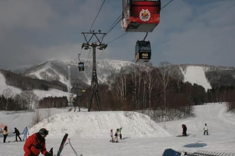 Property building, Winter, Skiing