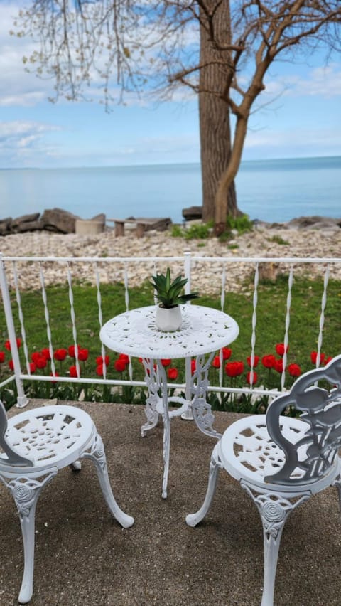 Dreamcatcher Lake House House in Pelee