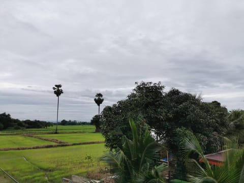 Day, Natural landscape, Garden view