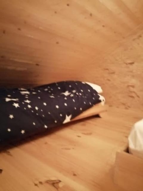 Cabane perchée Apartment in Brittany