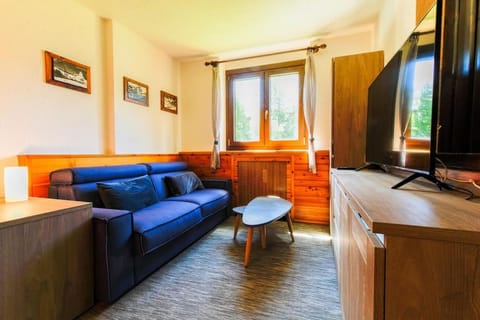 Bilocale in centro vicino al Cretaz- AS17 - CIR 0008 Apartment in Breuil-Cervinia