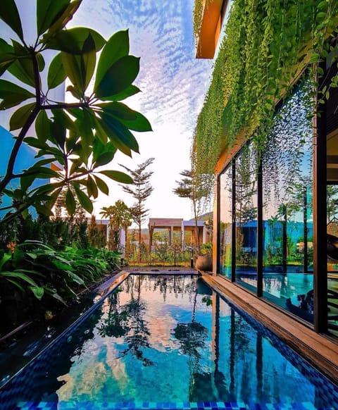 Day, Natural landscape, Garden, Garden, Garden view, Pool view, Swimming pool, Swimming pool, sunbed