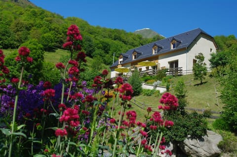 Property building, Spring, Garden, Garden view, Mountain view