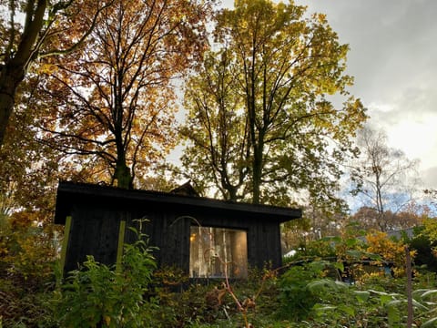 Property building, Garden view