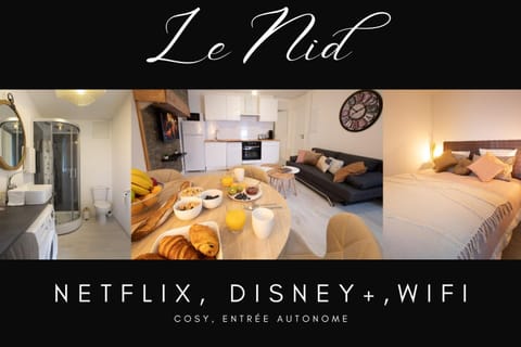 Le Nid 3 étoiles Wifi, Netflix, Disney, Coeur de Bastide Apartment in Villefranche-de-Rouergue