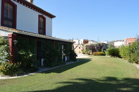 Patio, Garden, Garden view