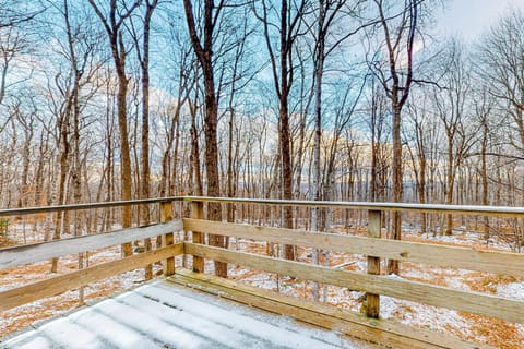 Log Ski Lodge House in Wilmington