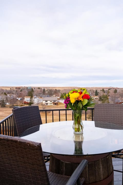 2B2B pet-friendly with views near dog park House in Westminster