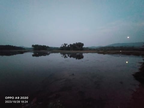 Natural landscape