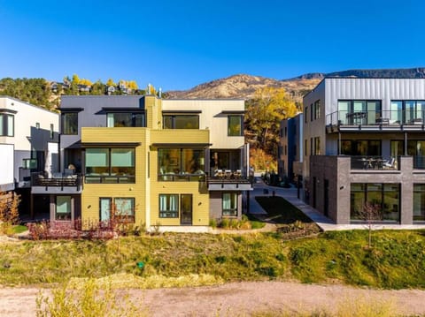 Historic Basalt New TH on River Apartment in Basalt