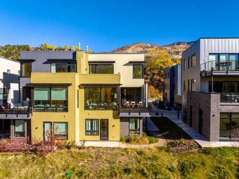 Historic Basalt New TH on River Apartment in Basalt