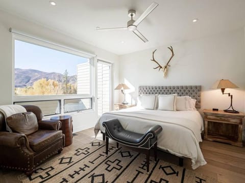 Historic Basalt New TH on River Apartment in Basalt