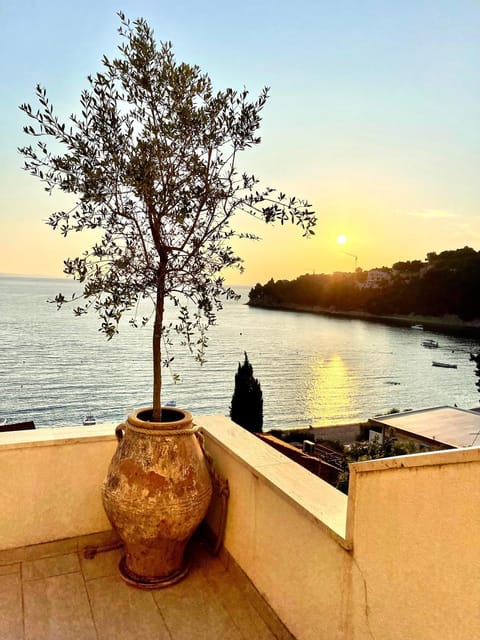 View (from property/room), Sunset