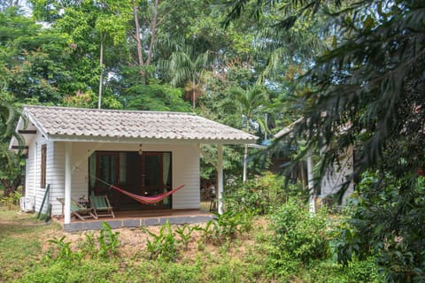 Natural landscape, Garden, Garden view