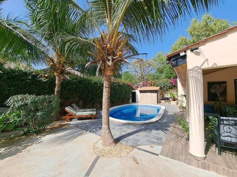 Garden, Swimming pool