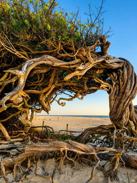 Nearby landmark, Day, Natural landscape, Sea view
