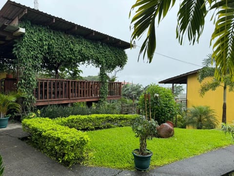 Garden view