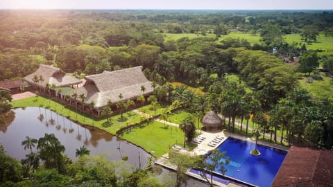 Property building, Restaurant/places to eat, Day, Natural landscape, Pool view, Swimming pool