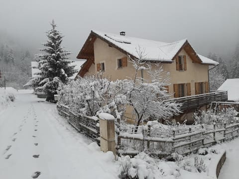 Winter