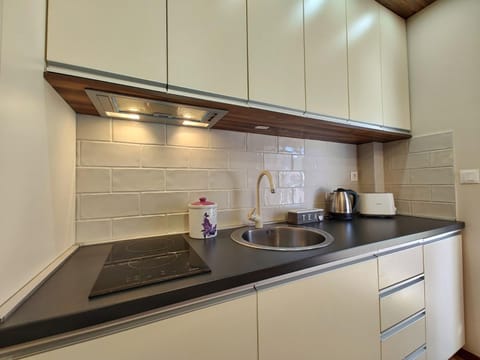 Coffee/tea facilities, Kitchen or kitchenette, minibar, stove, toaster