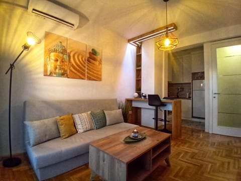 Living room, fireplace, oven, air conditioner