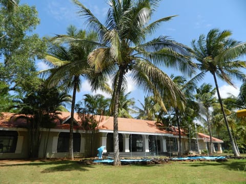 Property building, Day, Garden