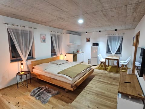 Communal lounge/ TV room, Bed, Living room, Photo of the whole room, Bedroom, hair dresser