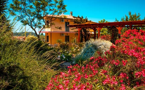 Spring, Garden, Garden view