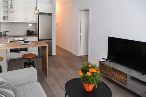 Modern Apartment in Ipitou, Plaka Apartment in Plaka