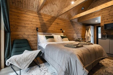 Silencius Cabin With Private Jacuzzi Cabin in Rovaniemi