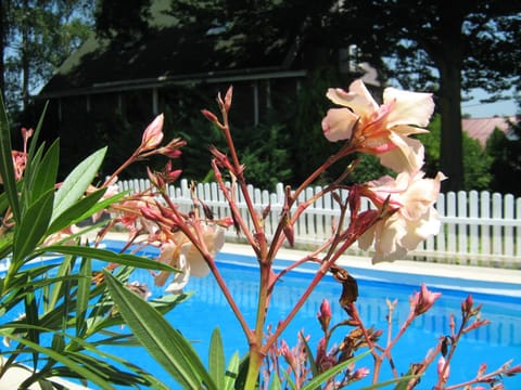 Garden, Swimming pool, Swimming pool