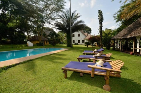 Spring, Day, Garden, Pool view, Swimming pool, sunbed