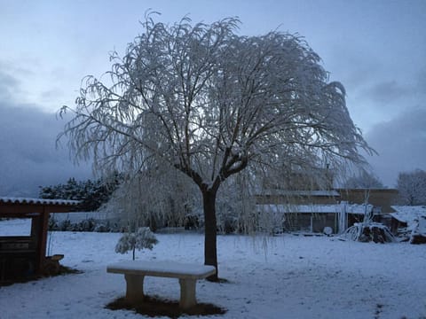 Bamboo Vacation rental in Sisteron