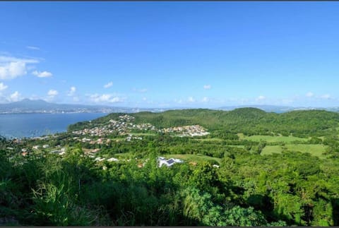 Natural landscape